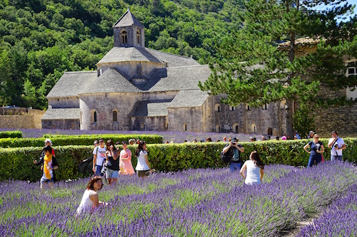 abbaye de senanque